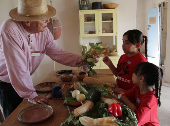 Docent teaching 