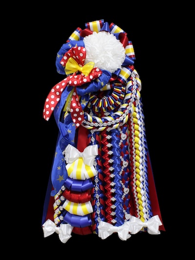 Intricate red, white, blue and yellow mum