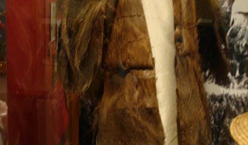Object: Raincoat (Japanese Palm Raincoat)