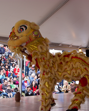 Asian Festival | UTSA Institute Of Texan Cultures