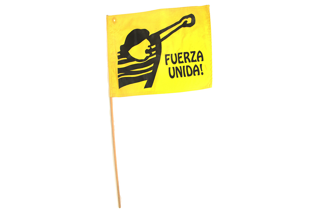 Fuerza Unida Flag
