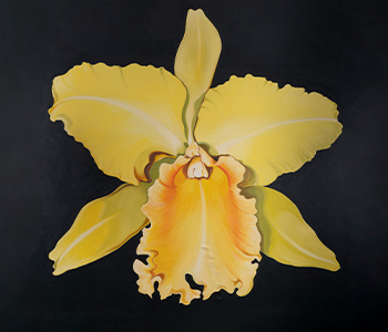 Learn more about UTSA Art Collection Exhibit